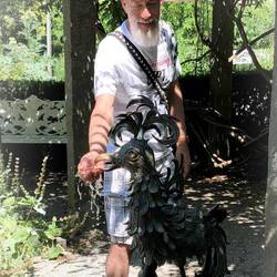 konnten Vögel füttern......