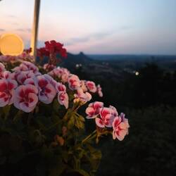 genossen die Aussicht......