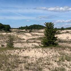 Ludington beach dunes