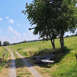 Lieblings-Rastplatz oberhalb Dedenborn