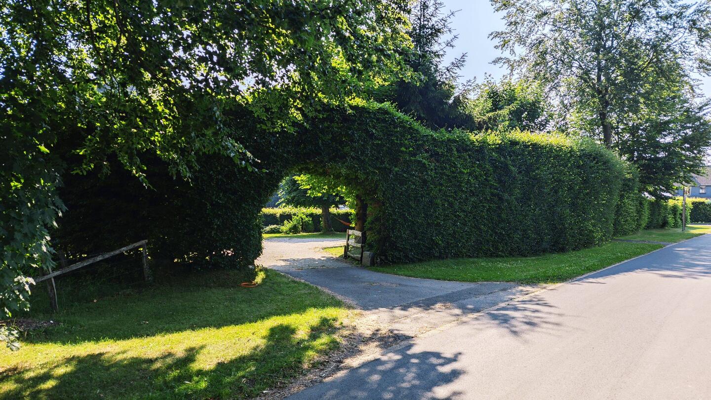 Höfen - Buchenhecken