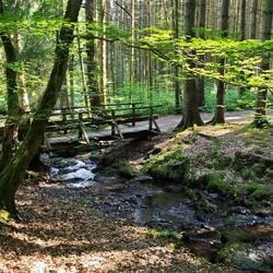 Zusammenfluss des Kluckbaches in die Rur