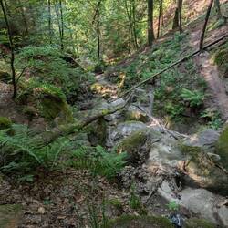 Dorfbachklamm