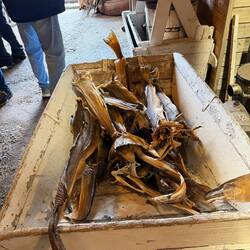 Getrockneter Fisch