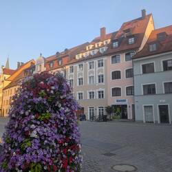 Überall Blumen