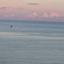 Abendstimmung in der Bucht von Sinop