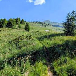 Die Geierspitze