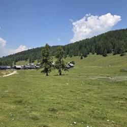 Die Egger Alm - eine Ansammlung mehrerer Hütten und vieler Kühe 😉