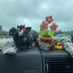 Wir haben mit dem Blümchen als Maskottchen gestartet ...