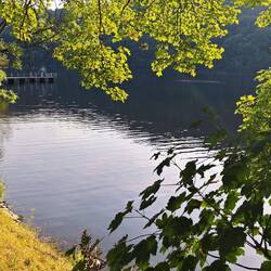 Rursee bei Einruhr