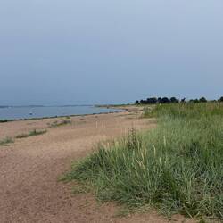 Natur pur