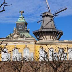 ...im Hintergrund die Historische Mühle von Sanssouci