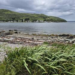 Loch Ranza