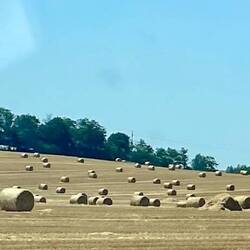 Abgeerntetes Kornfeld mit hunderten Strohballen