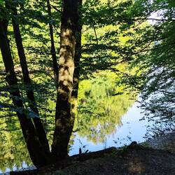 Entlang des Obersees ...