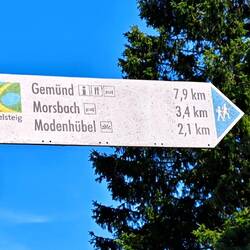 Vogelsang -> Gemünd