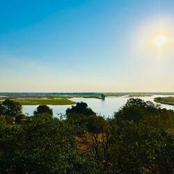 Blick auf den Chobe River