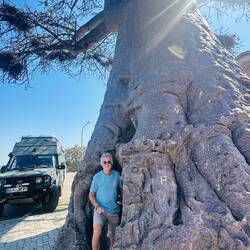 erster Baobab in Botswana