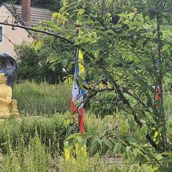 Buddha Statue