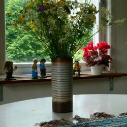 Picked from the meadow by my host to make the cottage a little brighter