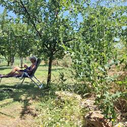 Relaxen Im Garten von Herbs & Eggs