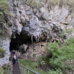 Exit from Mammoth Cave (106 steps up!)