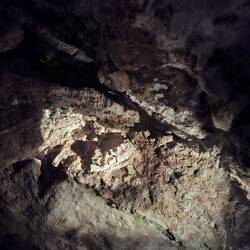 Fossilized jaw bone in Mammoth Cave