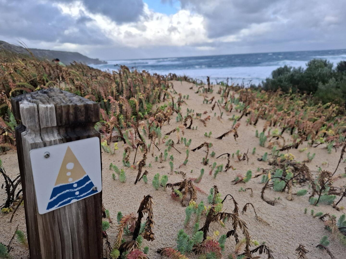Cape to Cape trail - bit of deep sand walking, but easy track otherwise