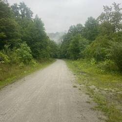 Morning fog