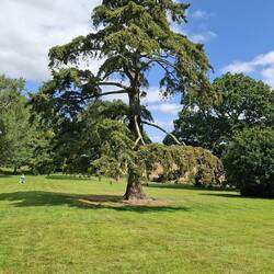 The grounds were stunning too, with so many mature trees and large lawn areas