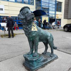Die Bamse Statue- ein berühmter Schiffshund