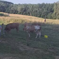 real Allgäu 😉