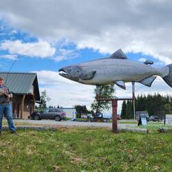 RA! Big silver salmon at a fish processor. M caught the big one!