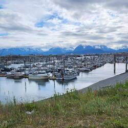 Harbor