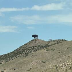 Welcome to Wyoming!