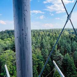 Allí se ve el bosque que le da el nombre a la Selva Negra ( Schwarzwald)