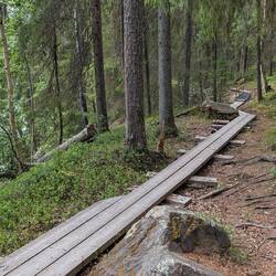 Dann ging's weiter durch den Wald