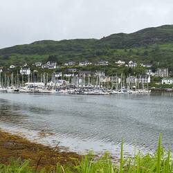The Marina