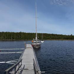 Alleine am Steg