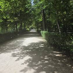 Park walking path