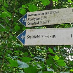 Der letzte Kilometer bis Steinfeld ...