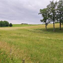 Zwischen Golbach und Sisterfelderheistert
