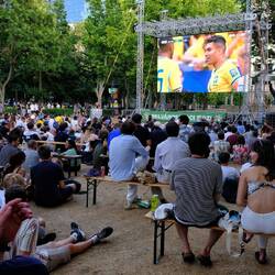FIFA World Cup again