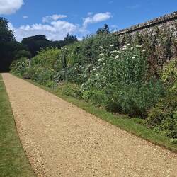 The Walled Garden - this was stunning 😍