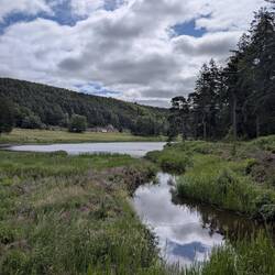 Umgeben von angelegten Seen, wurde aus Moorlandschaft ein Paradies.