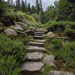 42 Milen Wanderwege (!!!!), auf dem Gelände