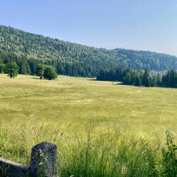 Auf dem Vulkan, ein Naturschutzgebiet auf gut 1000m Höhe