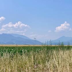 Die umliegenden Berge sind von der Ebene des Karpatenbeckens eindrücklich anzusehen
