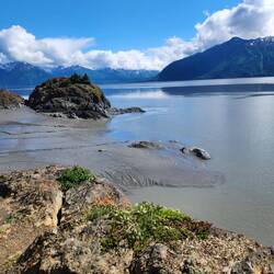 Just a nice picture. Turnagain Arm is a gorgeous area.