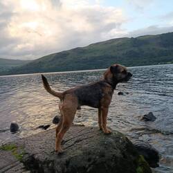 Boje in den Highlands
